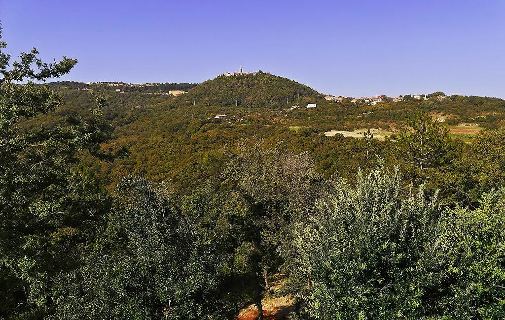 Apartments Villa Vires Labin